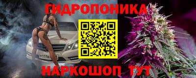 ECSTASY Будённовск